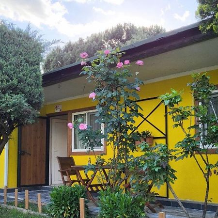Cicek Evler Tatil Koeyue Hotell Armutlu Eksteriør bilde